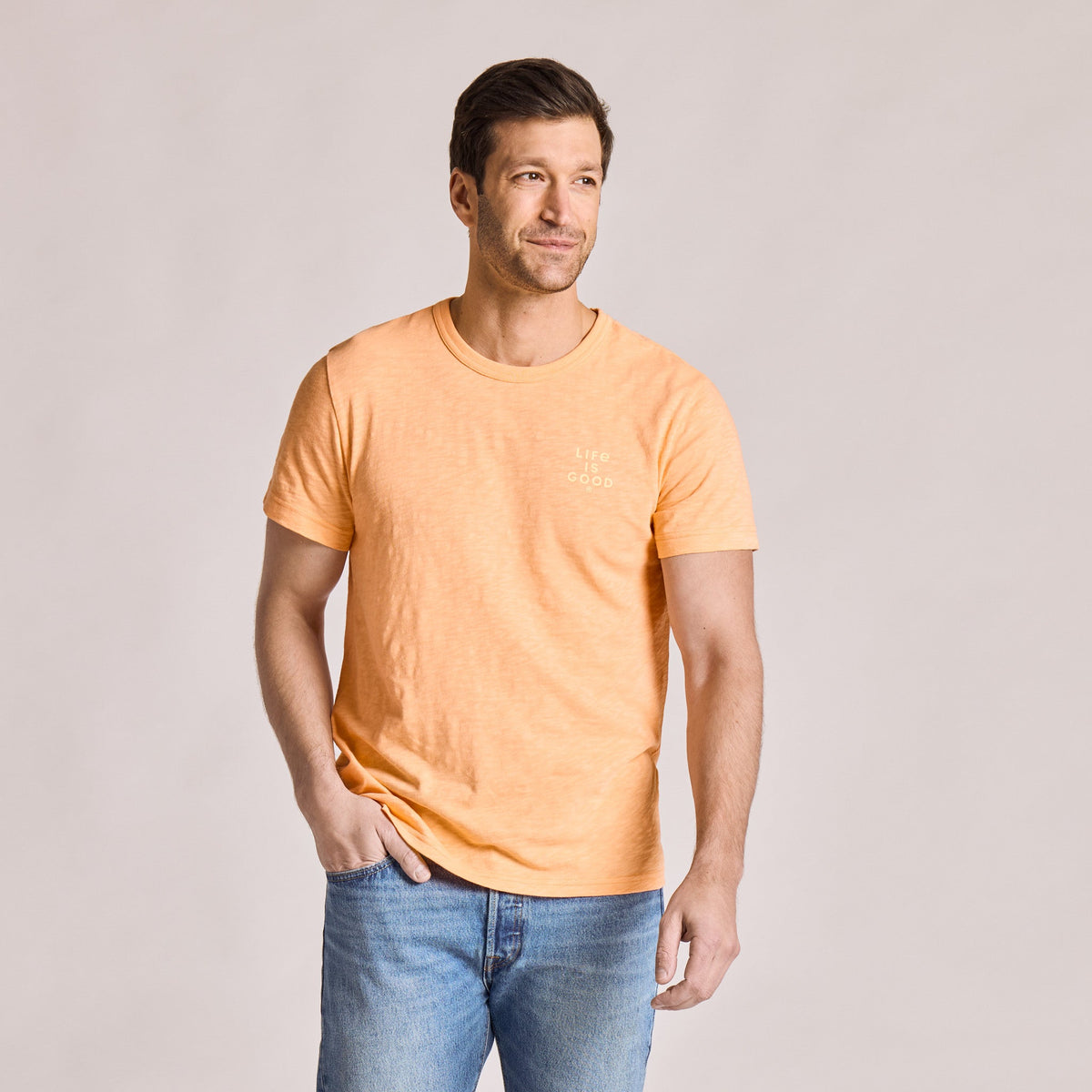 Men's Striped Palm Shadow Short Sleeve Slub Slim Fit Tee product image 3