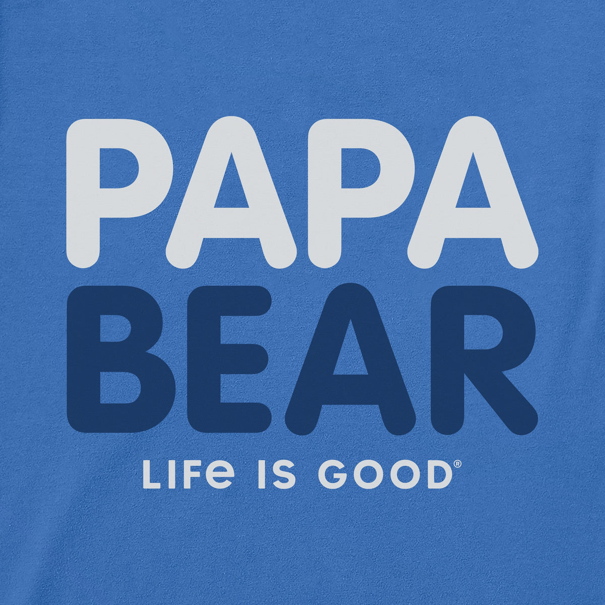 Men's Bert's Papa Bear Short Sleeve Crusher Tee product image 2