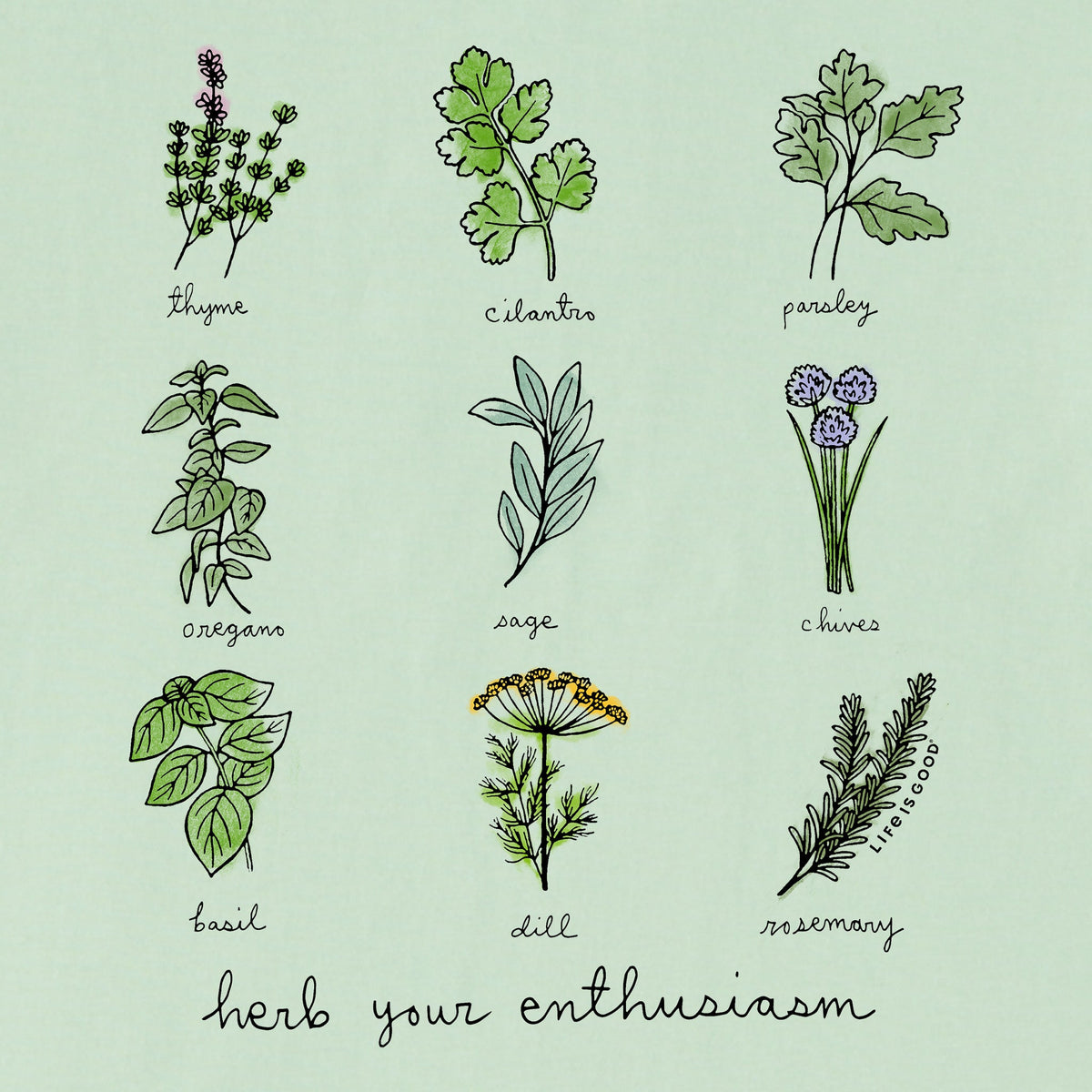 Women's Herb Your Enthusiasm Grid Short Sleeve Crusher Tee product image 2