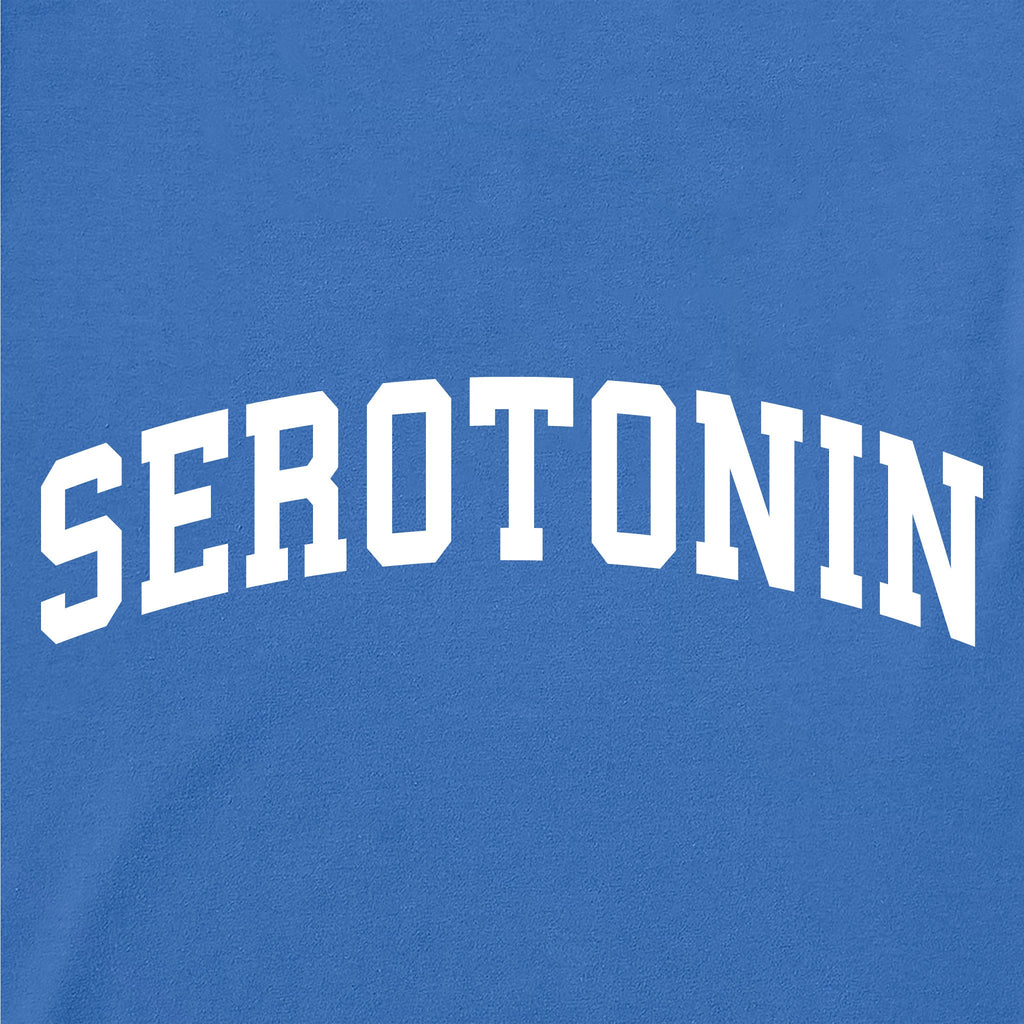 Men's Serotonin Arch Short Sleeve Crusher Tee product image 2