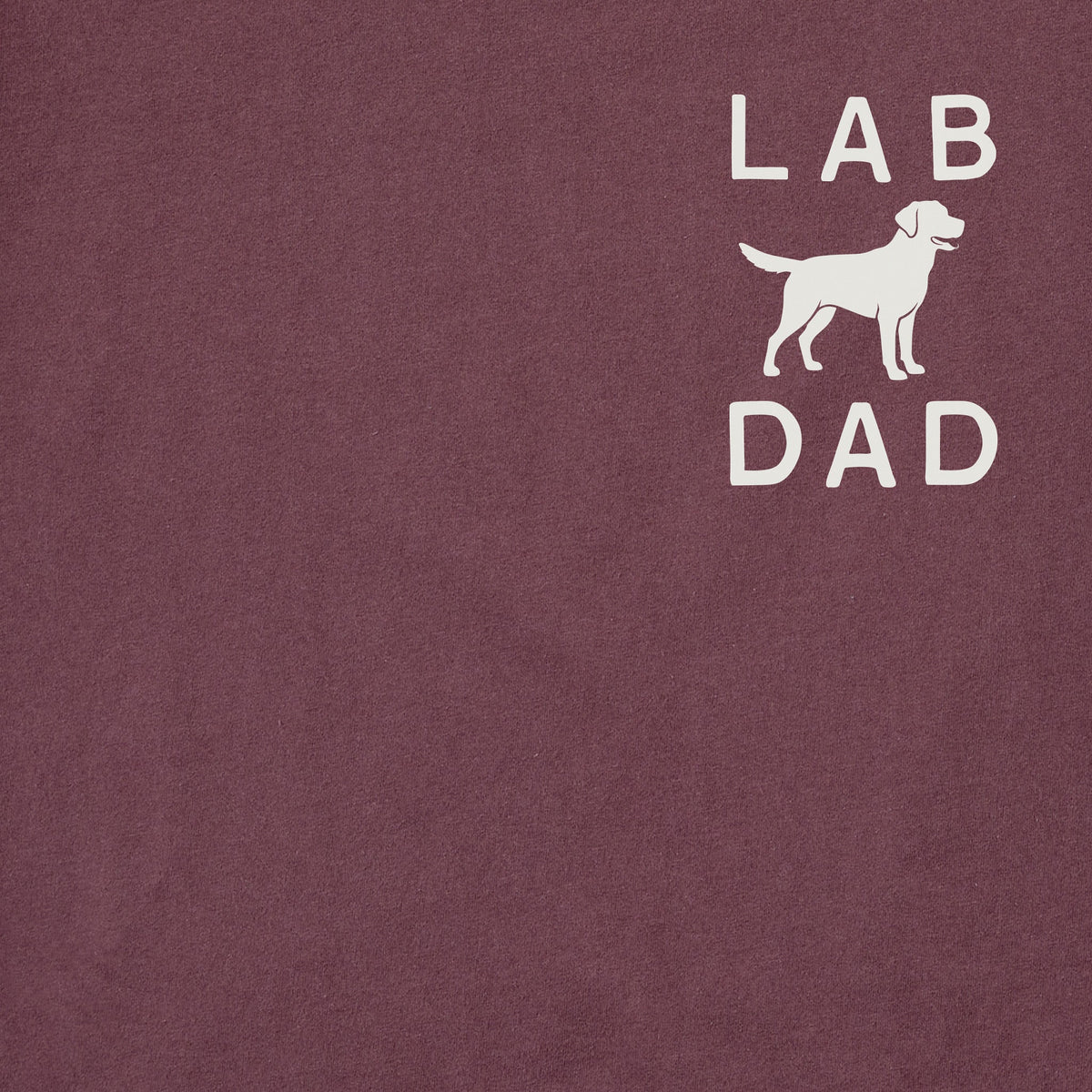 Men's Lab Dad Minimal Short Sleeve Crusher Tee product image 2