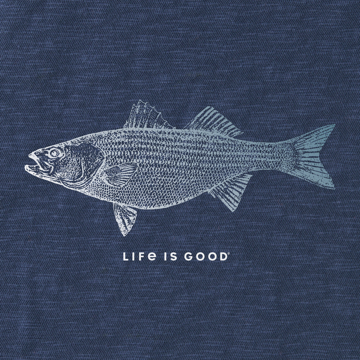Men's Detailed Striped Bass Textured Slub Tee product image 2